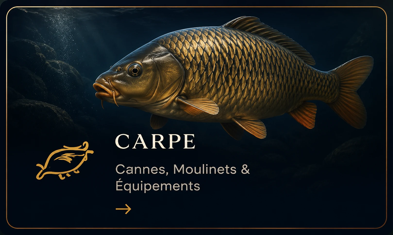 Matériel carpe premium