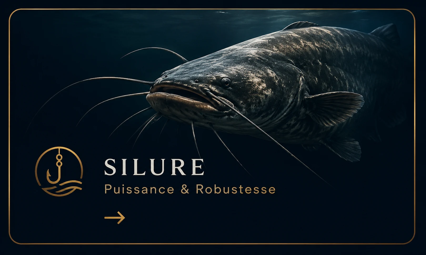 Matériel silure premium